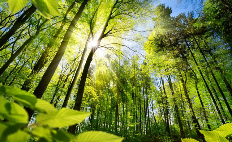 illustratieve foto Verantwoord beleggen voor jouw Shell pensioen